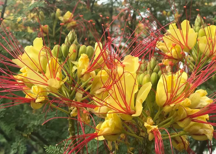 Feel Apartment Sibenik